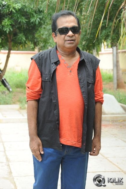 Brahmanandam-About-Alludu-Seenu-Movie